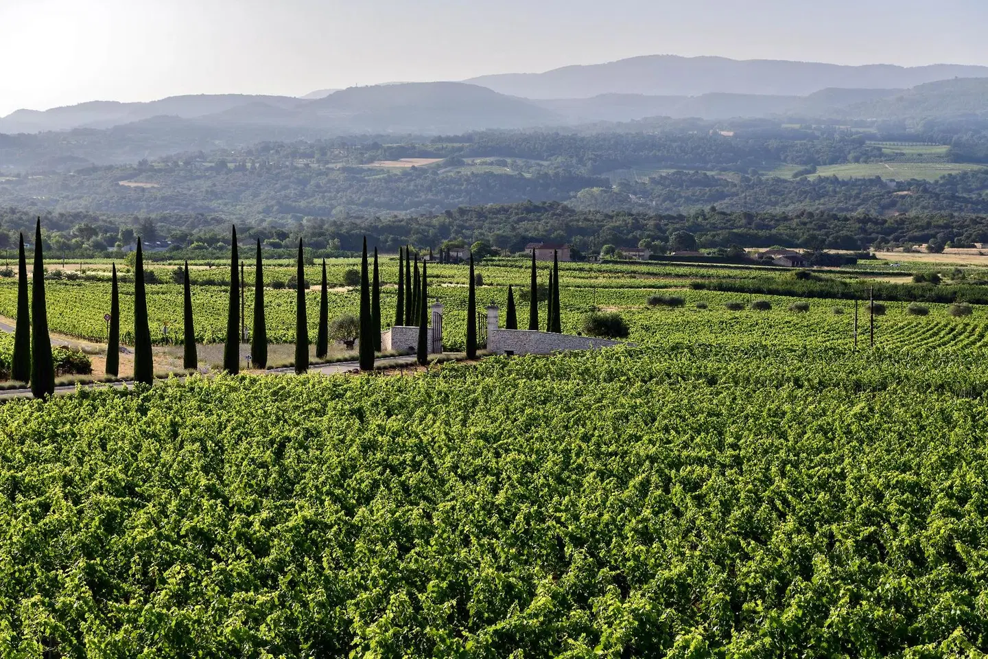 Coquillade Provence LANDSCAPE