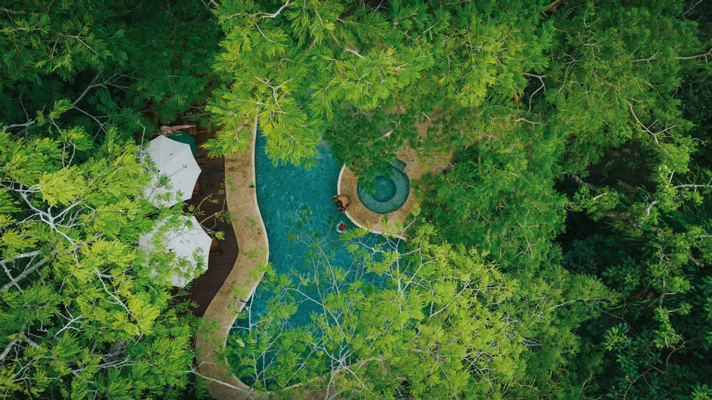 Bosque del Mar LANDSCAPE