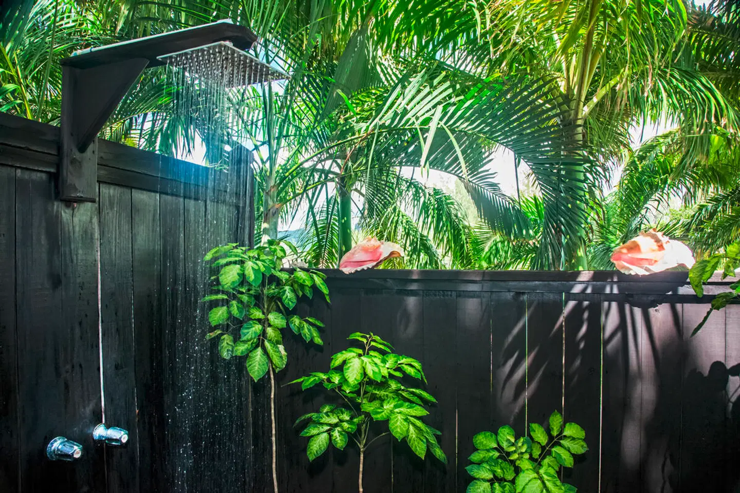 Cocos Hotel EXTERIOR