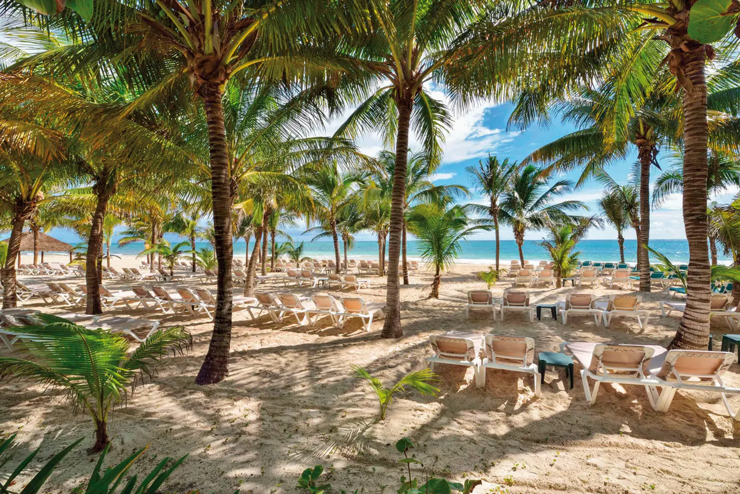 Catalonia Playa Maroma Garten