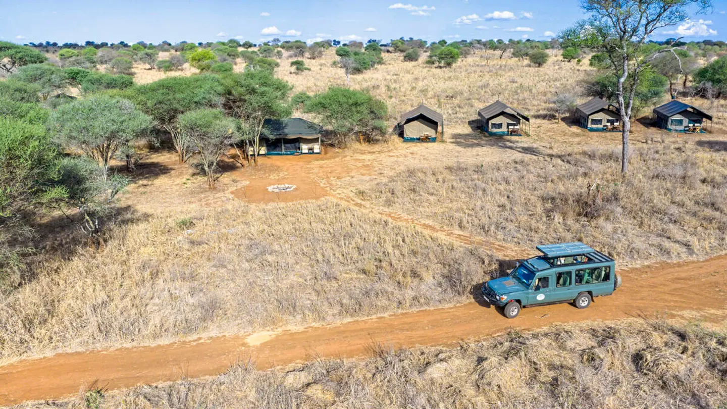 Magie der Savanne - Zwischen Baobabs und Kilimandscharo (7 Nächte) Tiere