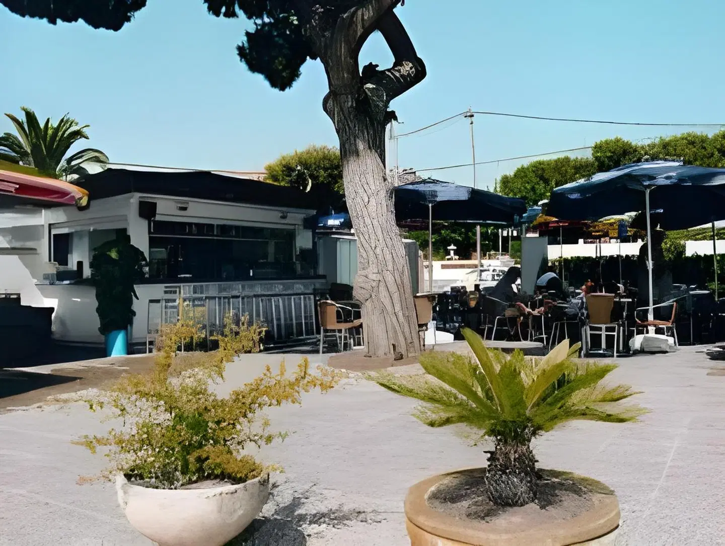 Aparthotel Solifemar Terrasse