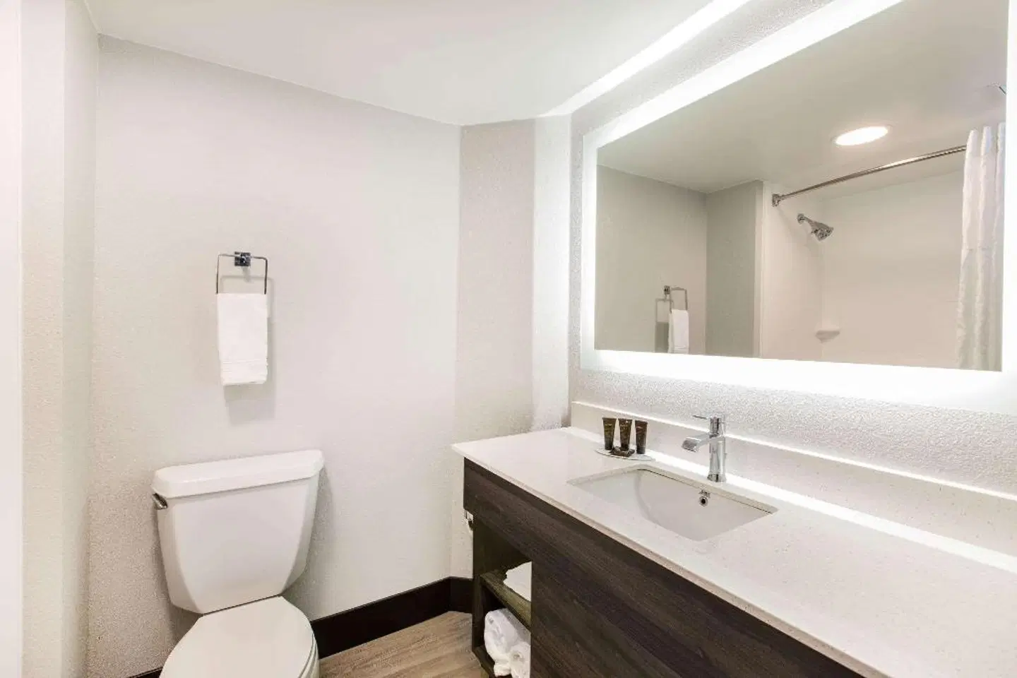 Wingate by Wyndham Goodlettsville Badezimmer