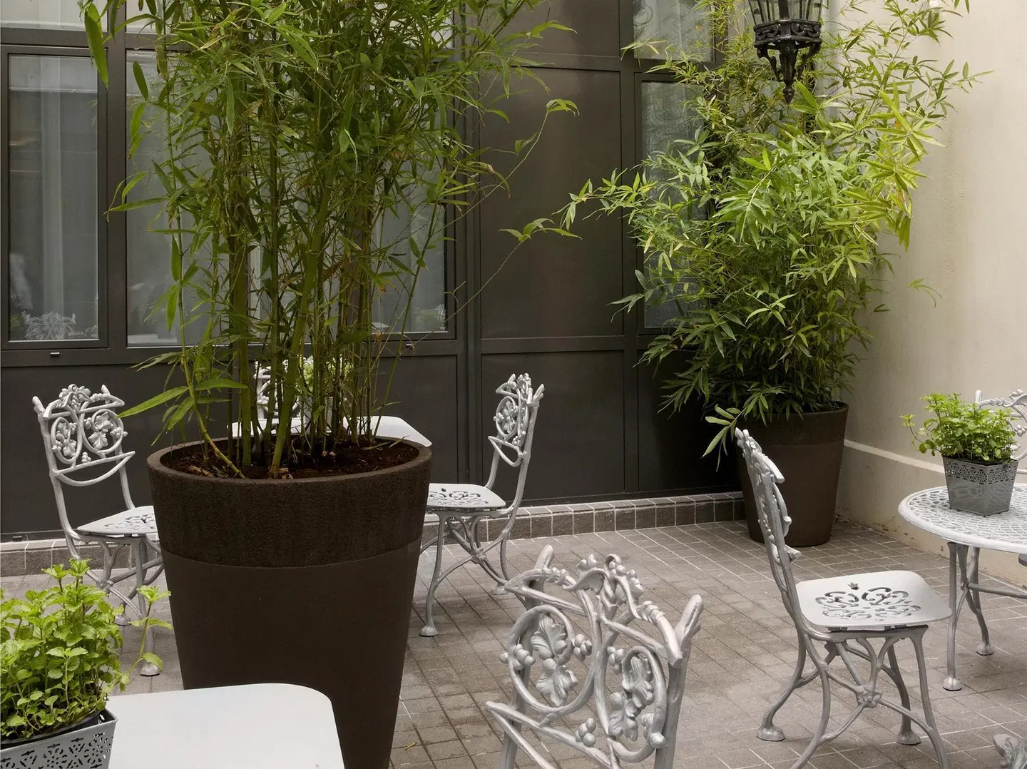 Mademoiselle Terrasse