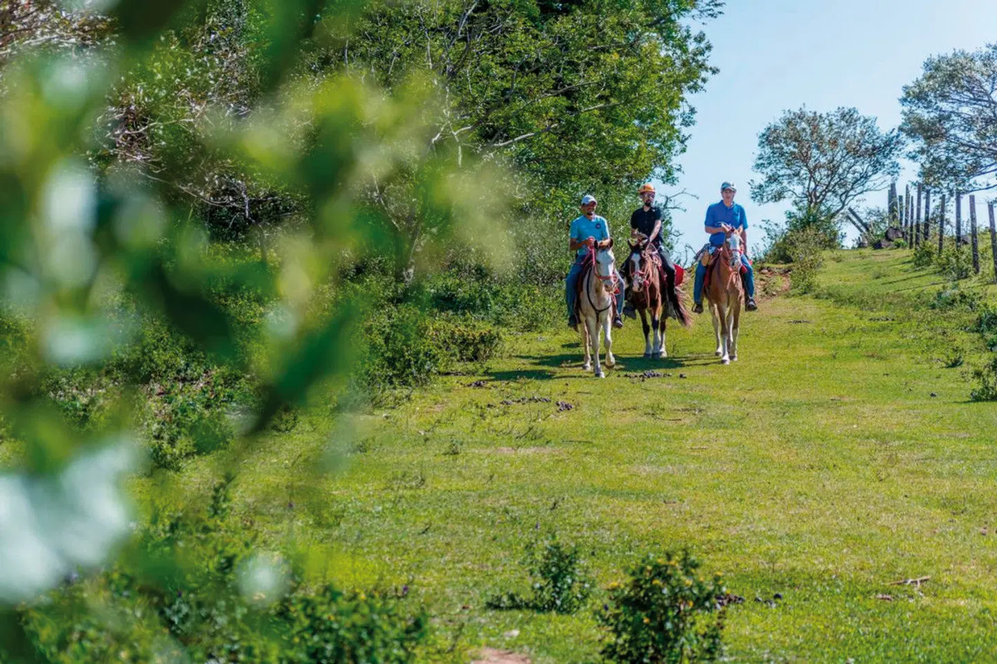 Rinconcito Lodge LANDSCAPE