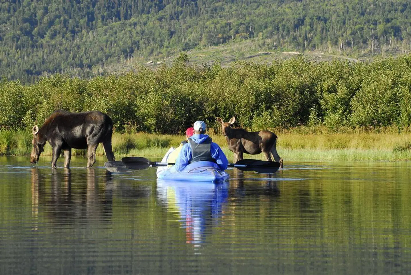 Quality Inn & Suites Matane SPORTS_AND_LEISURE