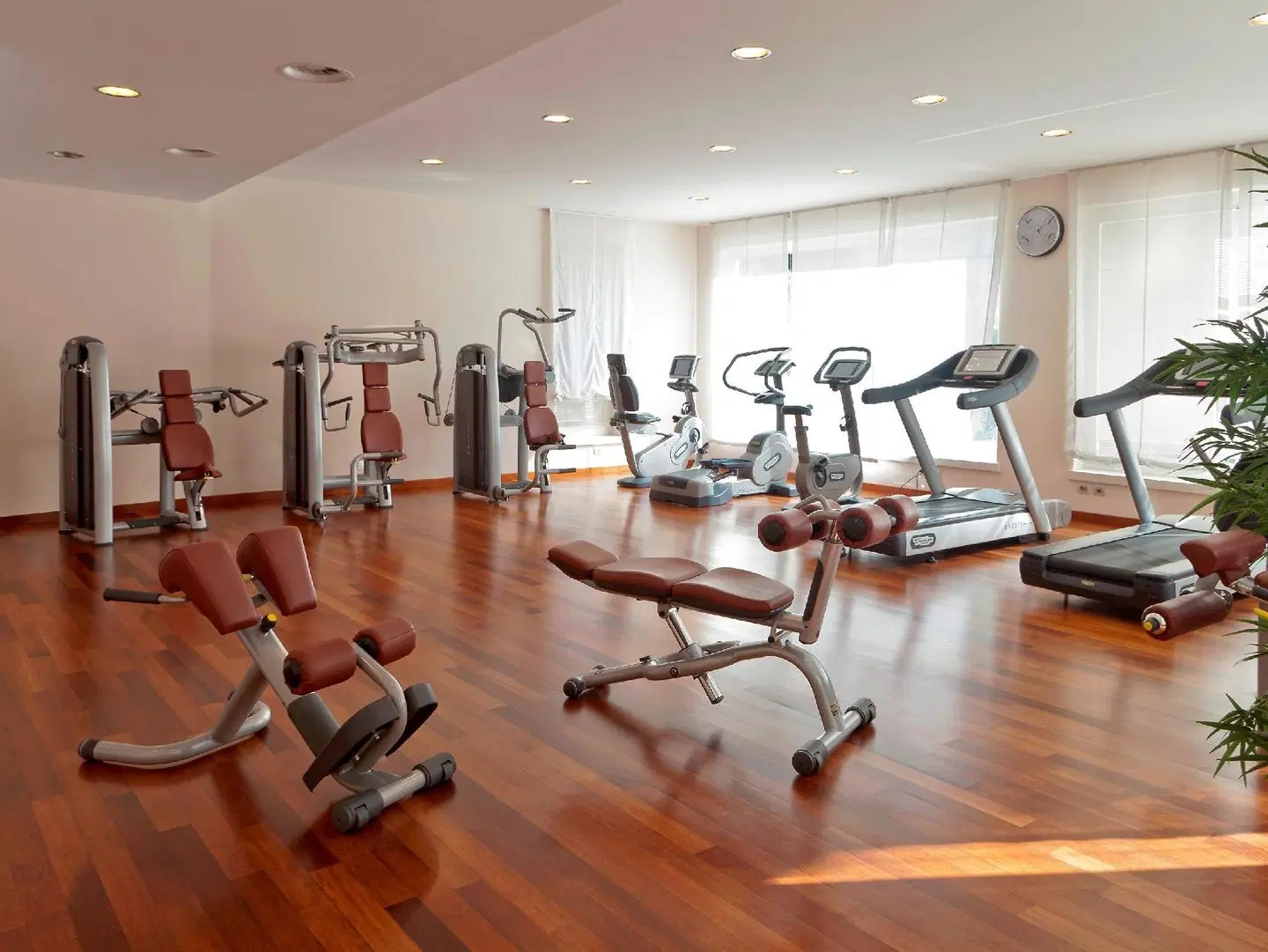 Terme Manzi Hotel & Spa SPORTS_AND_LEISURE