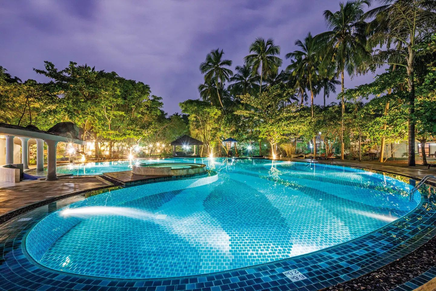 Siddhalepa Ayurveda Health Resort OUTDOOR_POOL