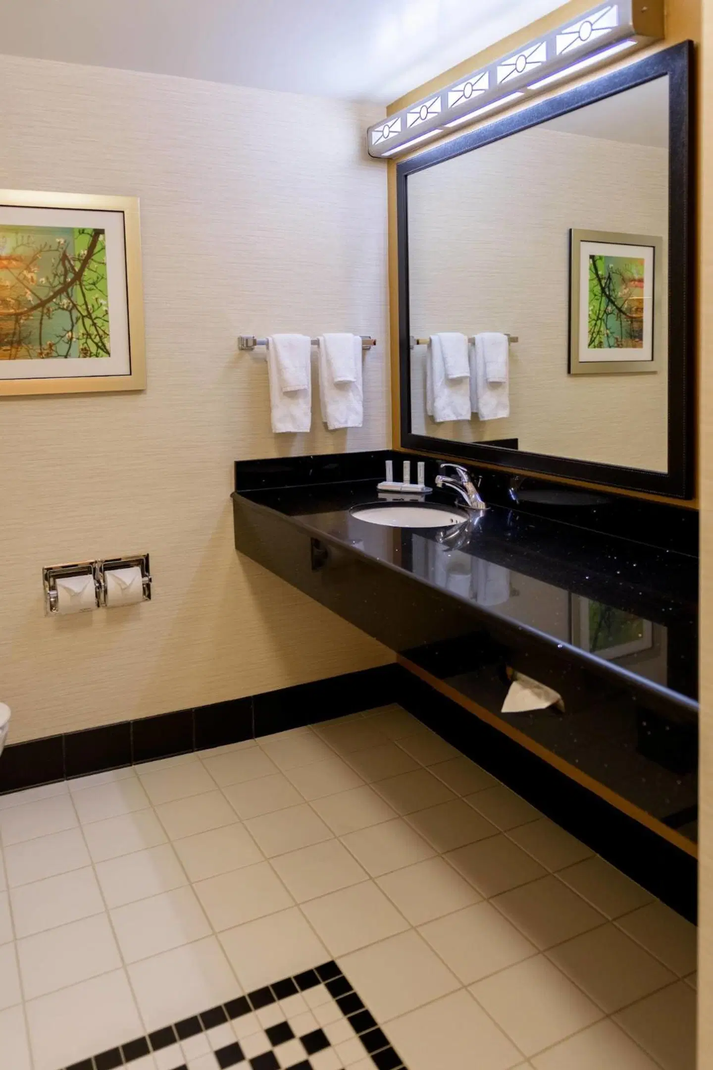 Fairfield Inn & Suites by Marriott Kennett Square Brandywine Valley Badezimmer