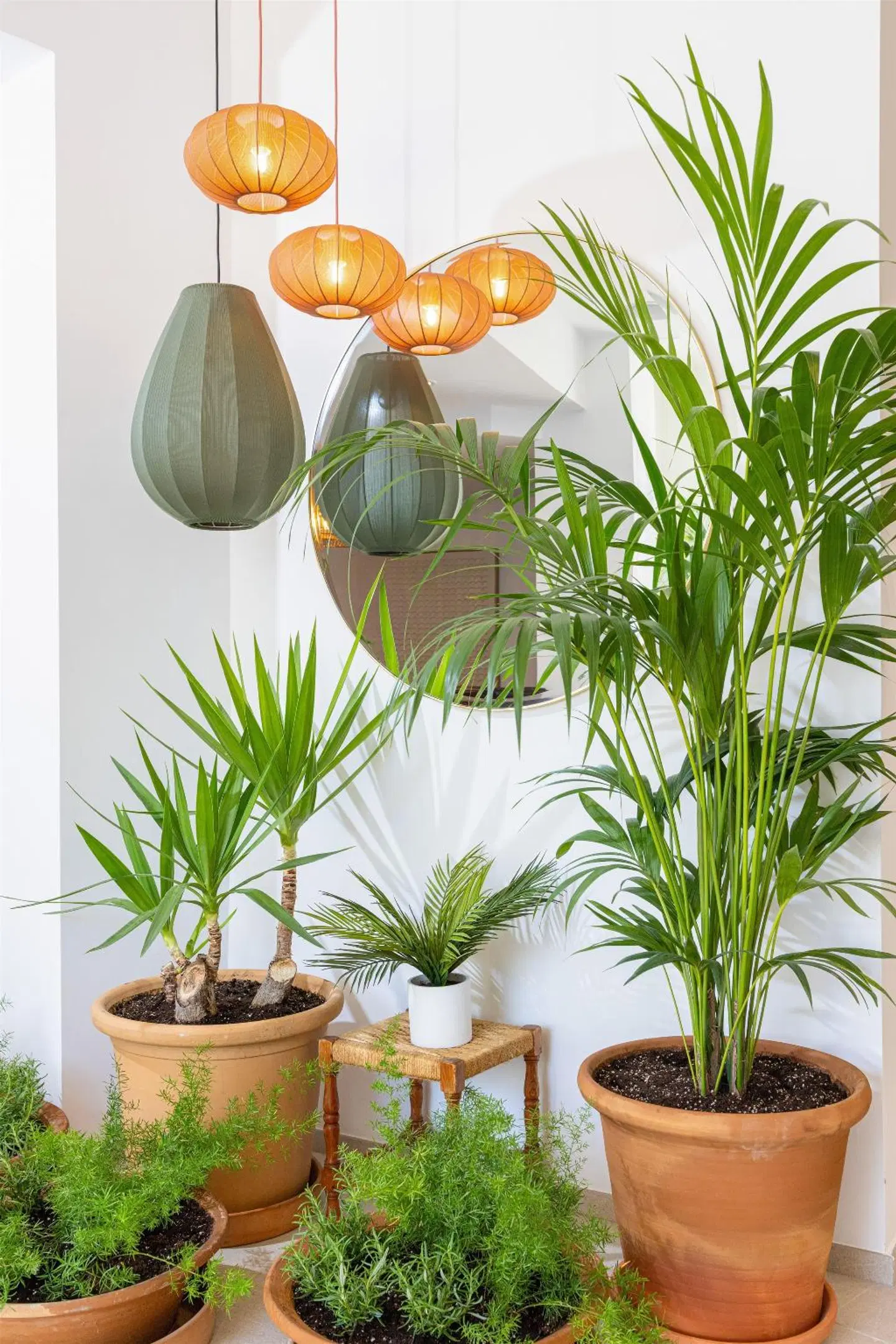 Sol Cala d'Or Restaurant