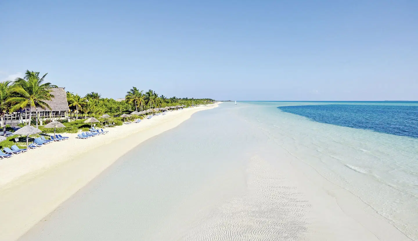Camino del Mar BEACH