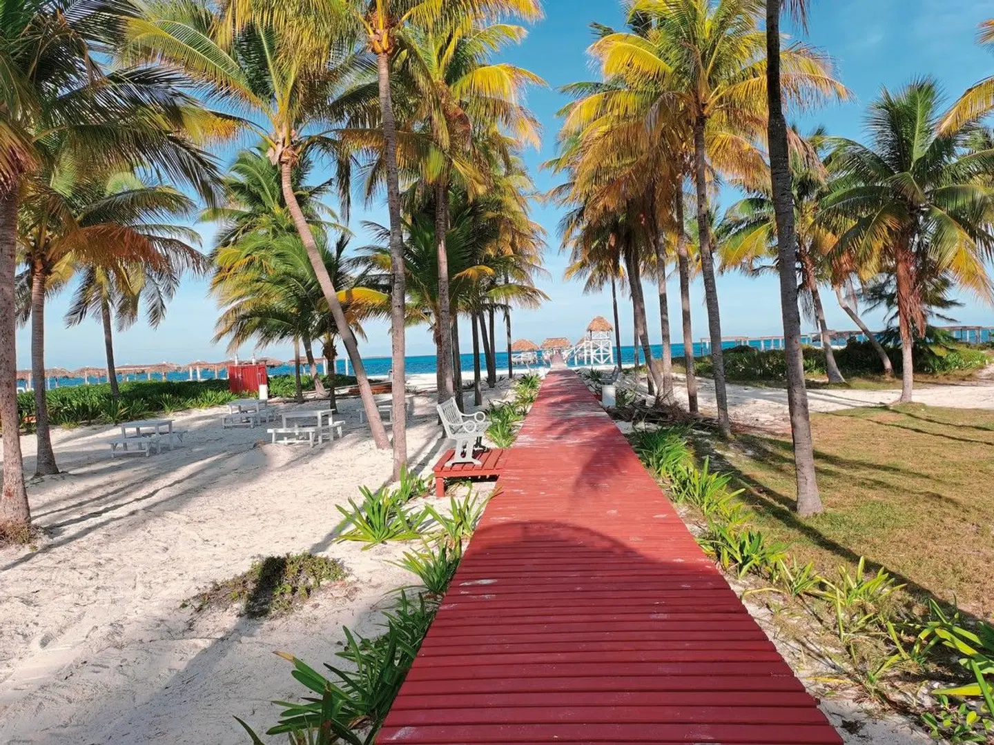 Camino del Mar GARDEN