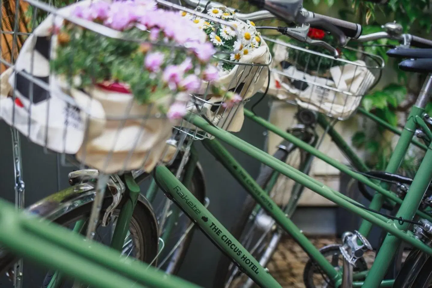 The Circus SPORTS_AND_LEISURE