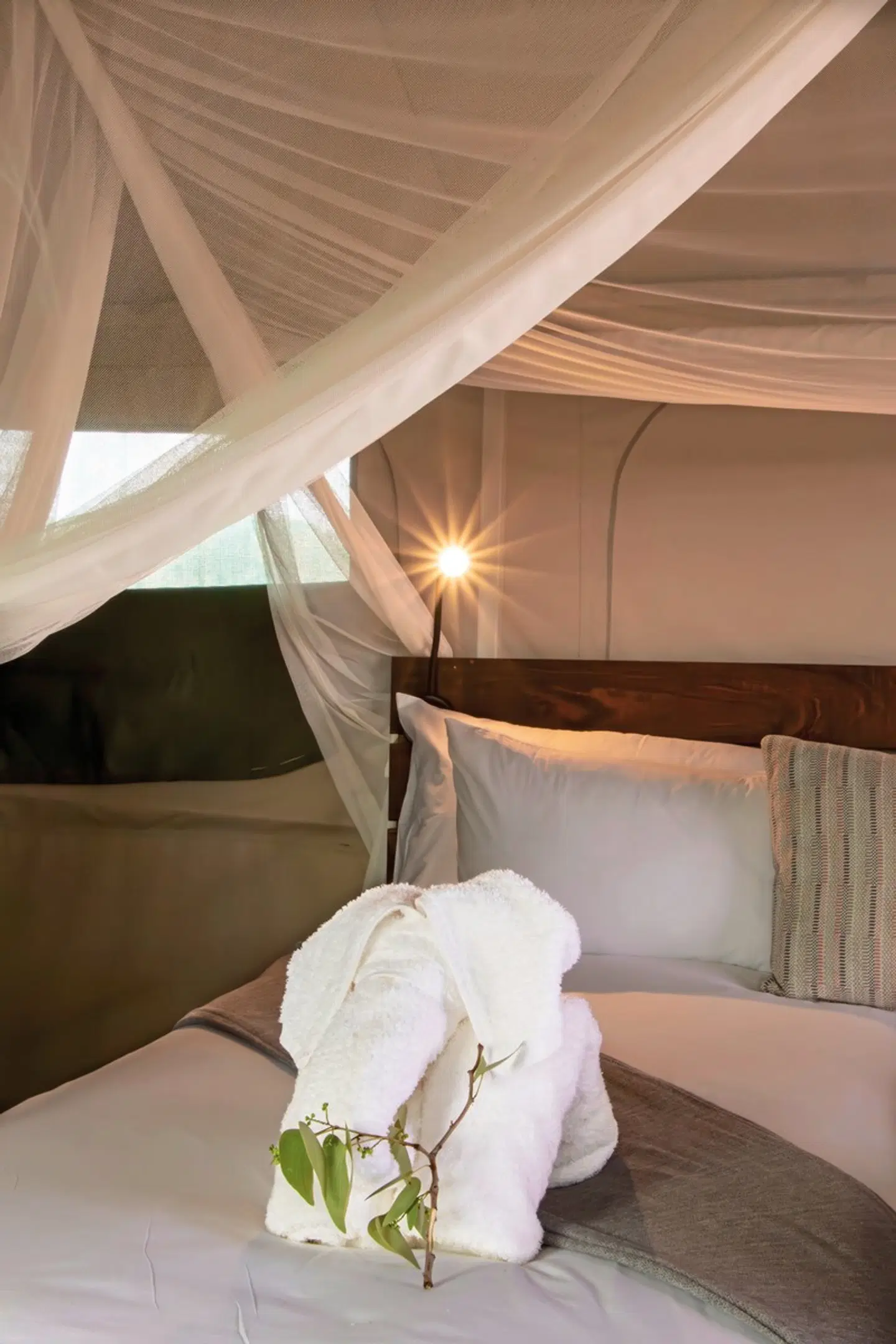 Ondjamba Hills HEALTH_BEAUTY