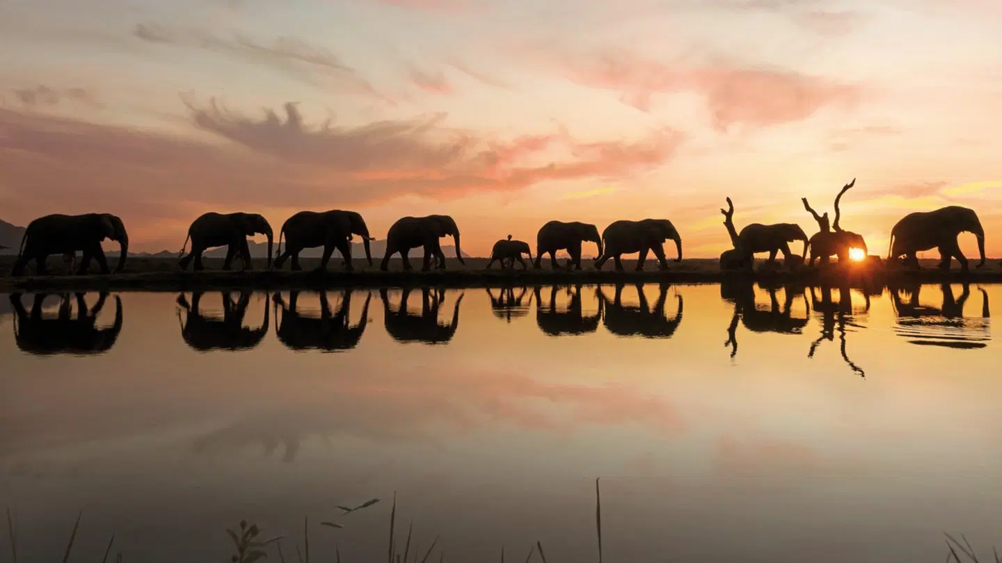 Jabulani Safari SPORTS_AND_LEISURE