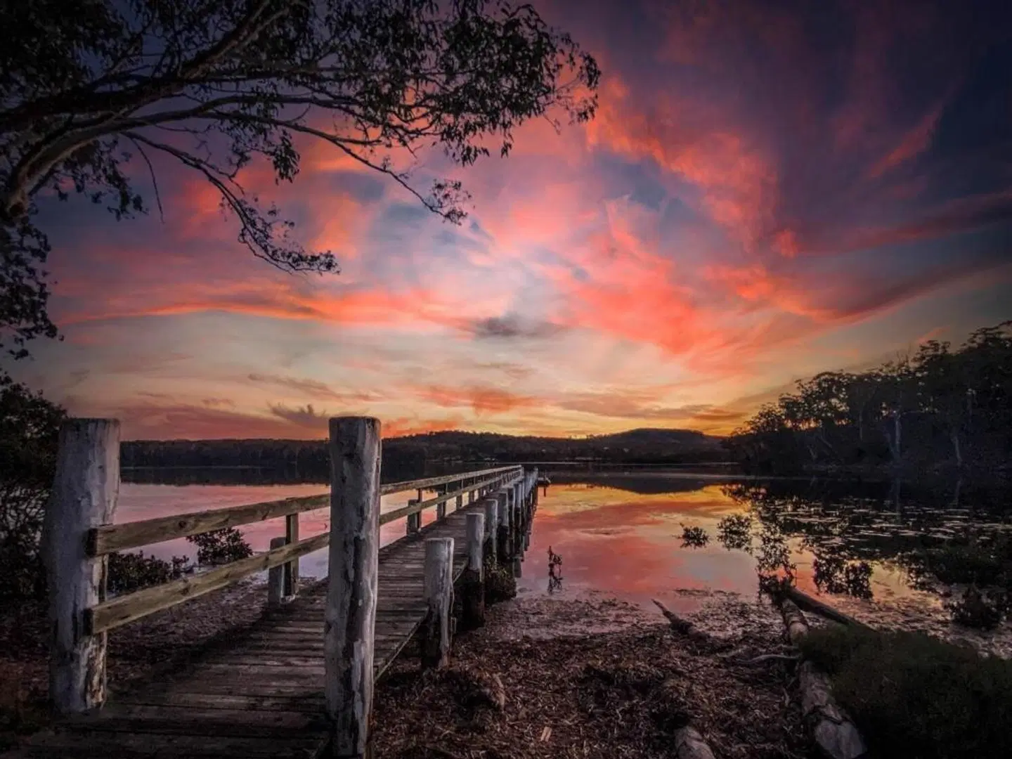 Robyns Nest LANDSCAPE