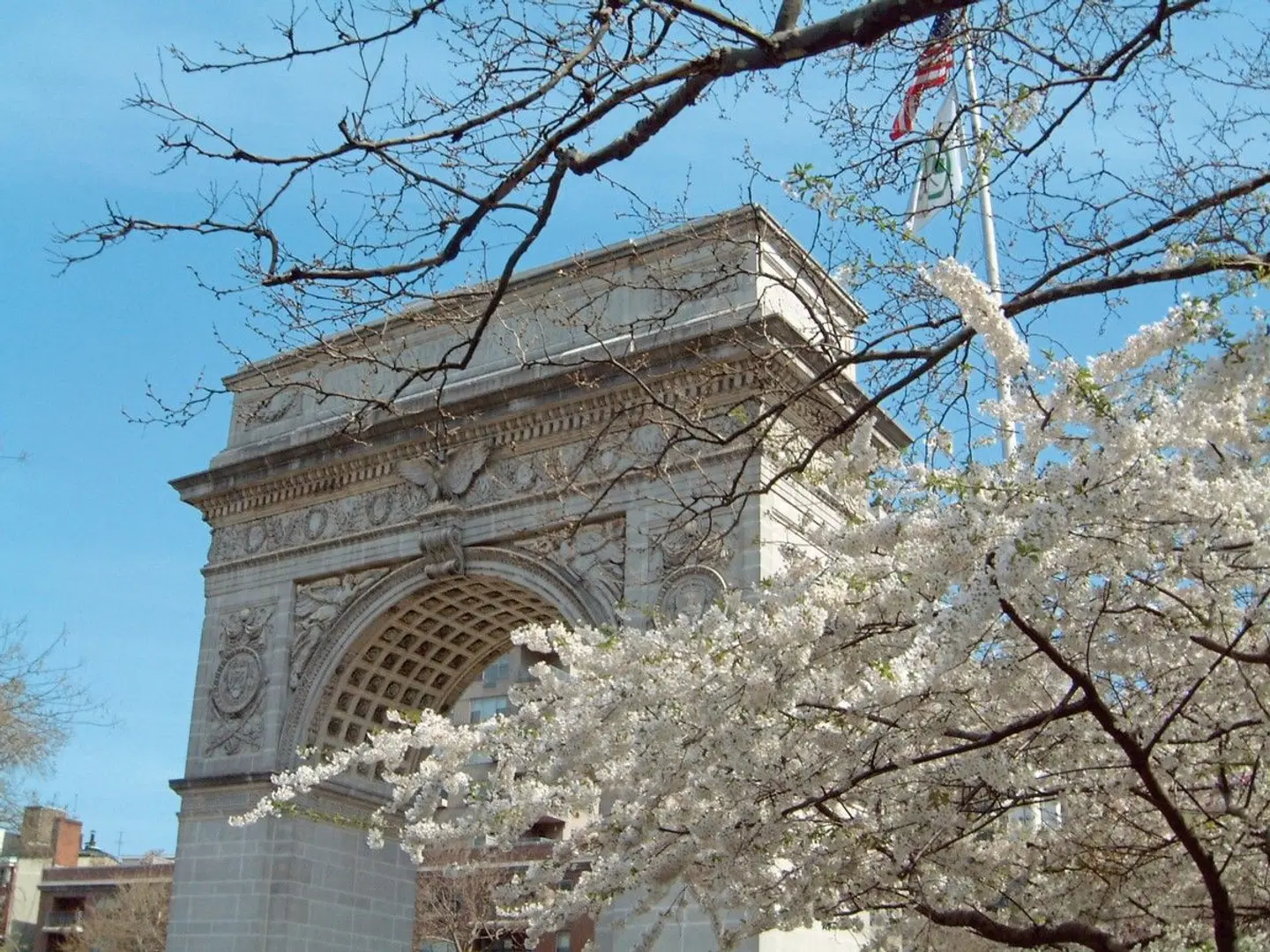 Washington Square Hotel Tiere