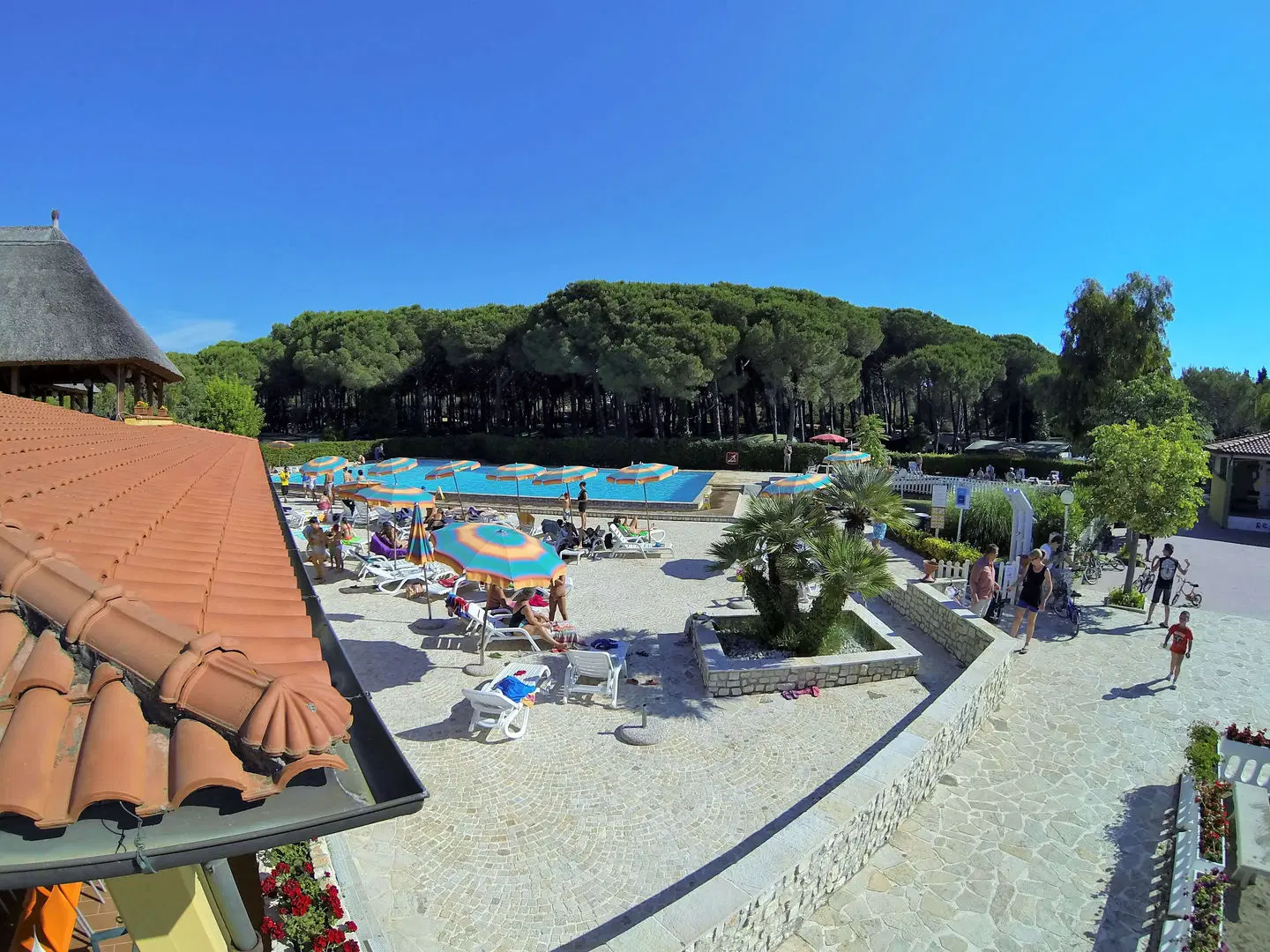 Camping Free Beach Strand