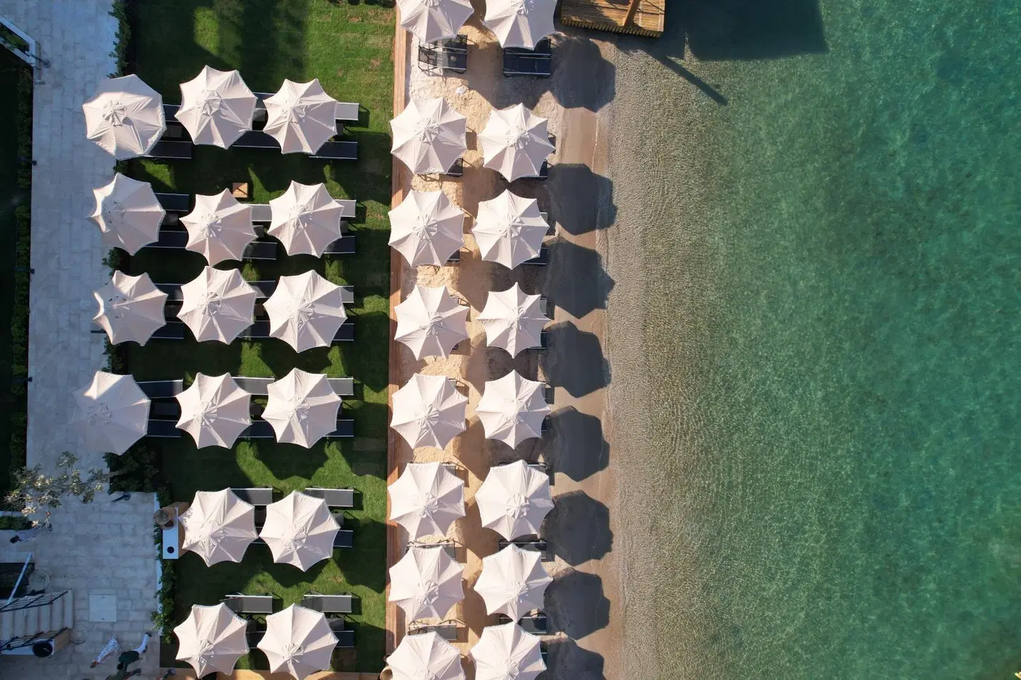 Highlight Hotel Tiere