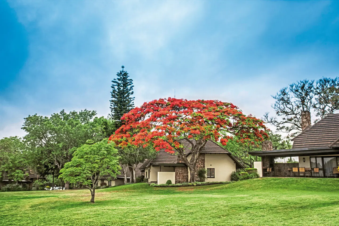 Sabi River Sun Resort EXTERIOR