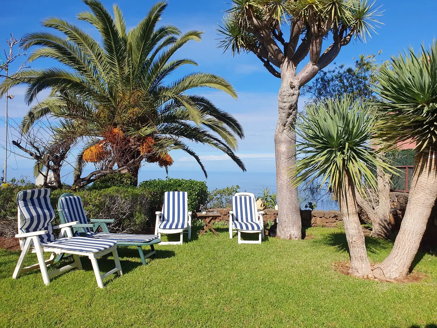 Finca La Blasina Garten