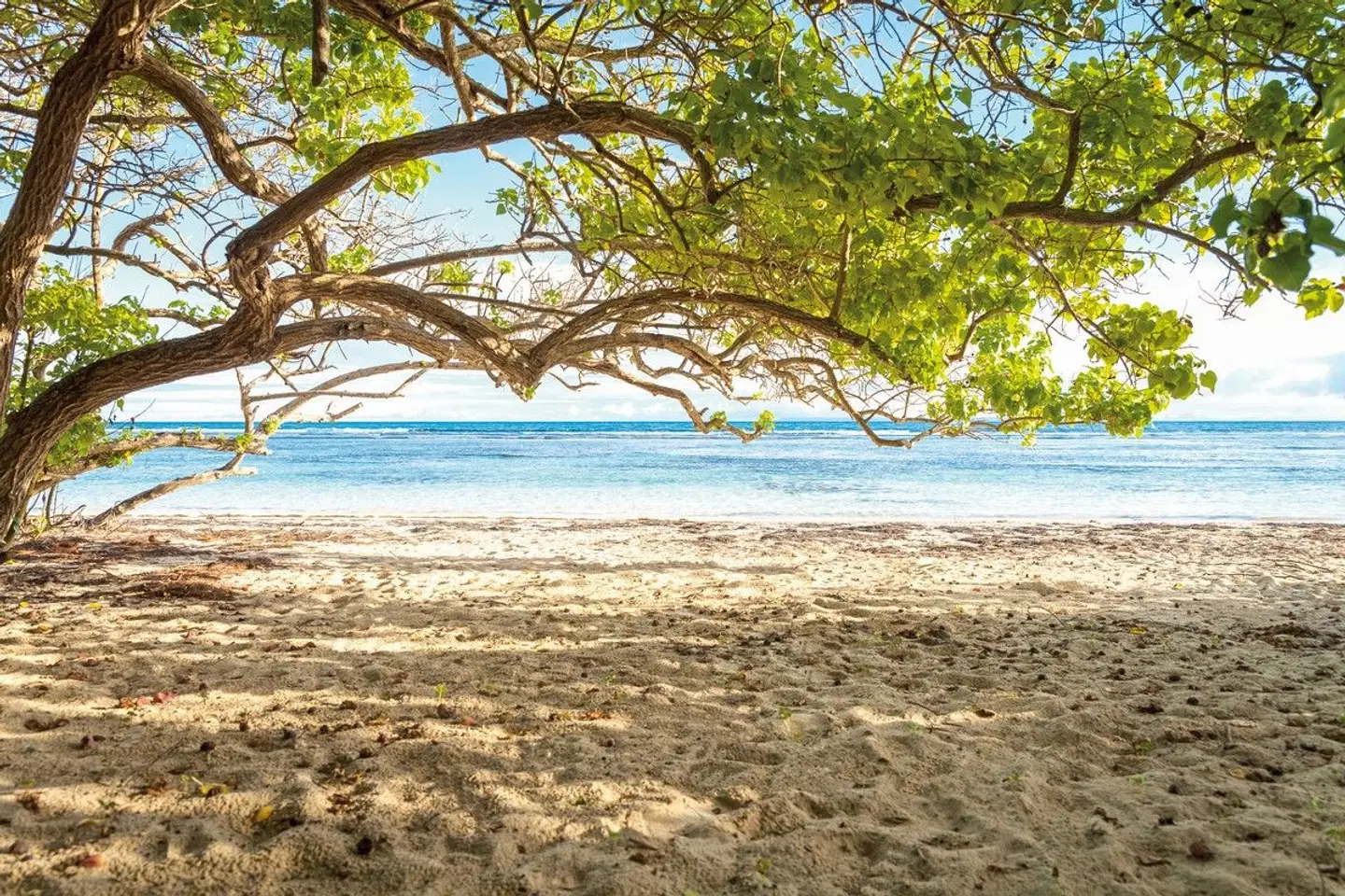 Le Relais du Moulin Strand