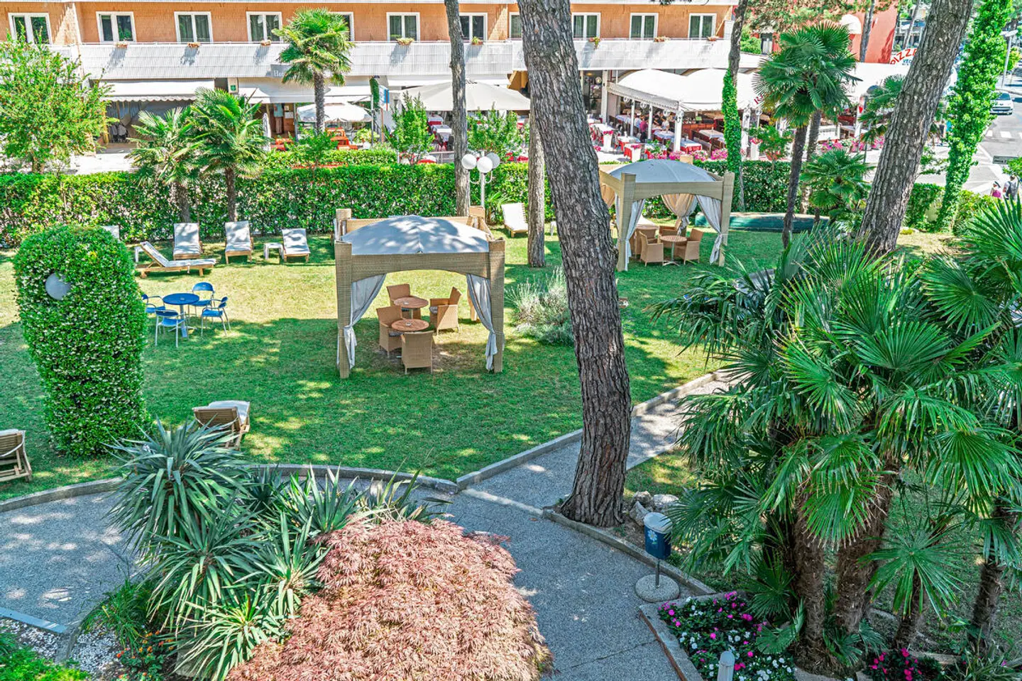 Medusa Splendid Garten