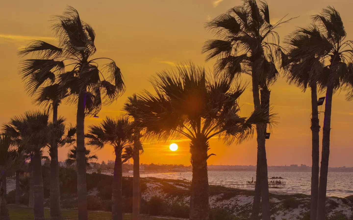 Hilton Skanes Monastir Beach Resort LANDSCAPE