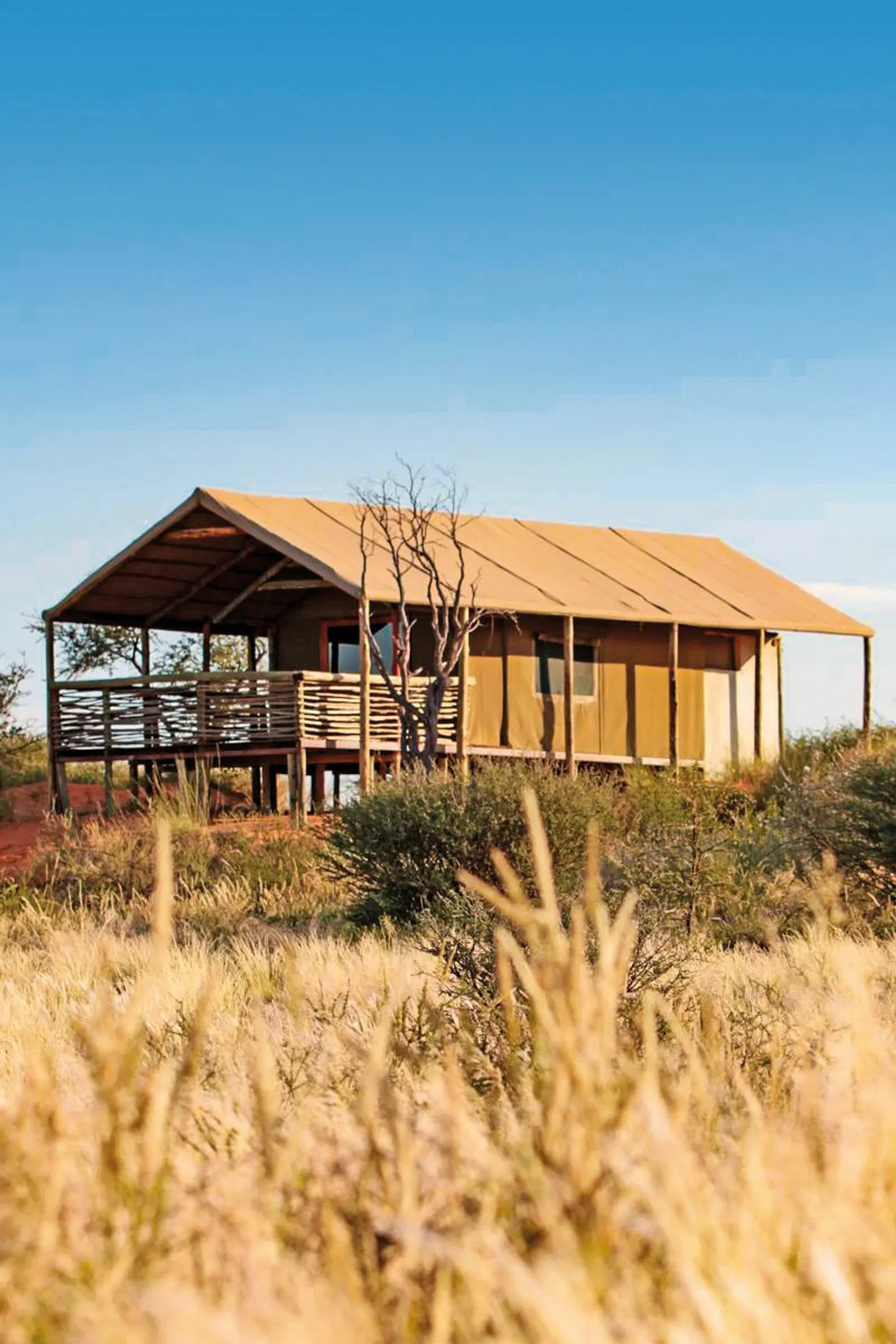 Intu Afrika Kalahari Suricate Tented Lodge EXTERIOR