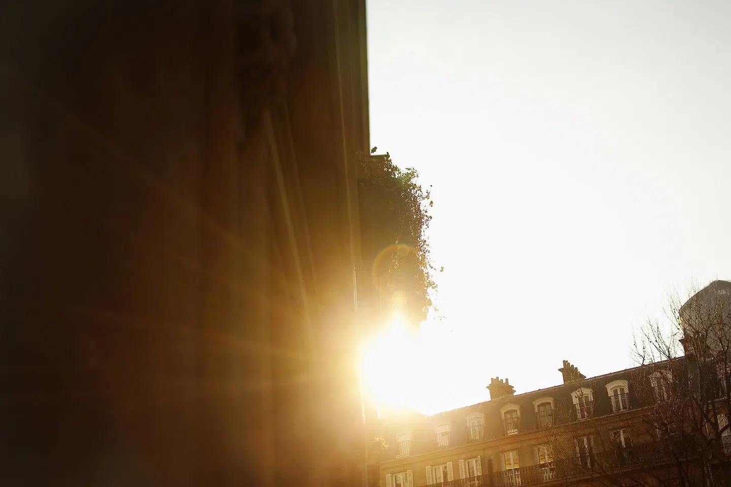 des Academies et des Arts LANDSCAPE