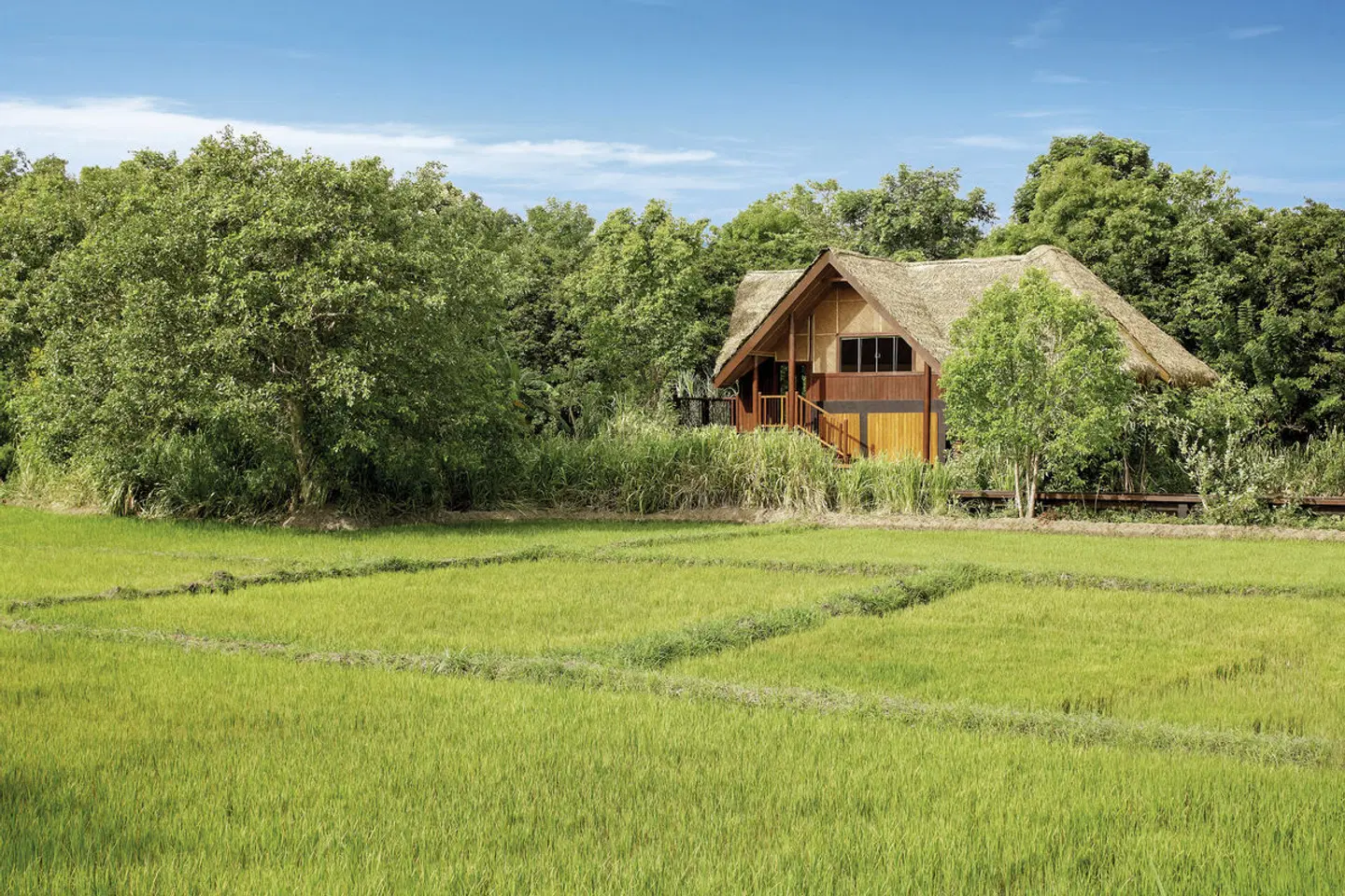 Jetwing Vil Uyana EXTERIOR