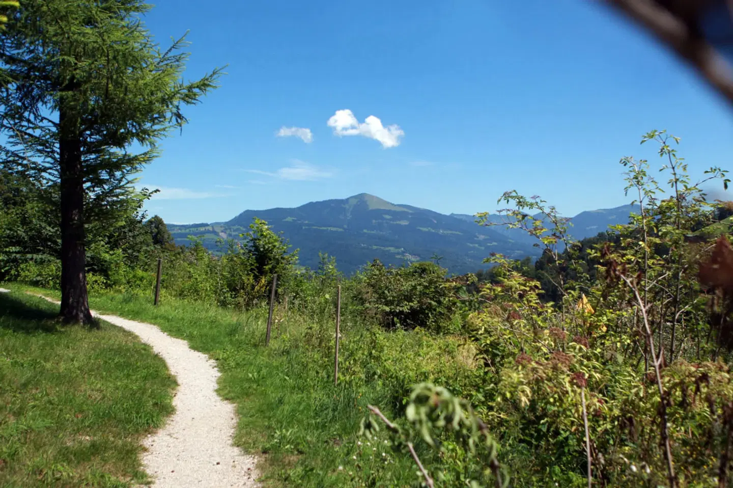 Kurhotel St. Josef LANDSCAPE