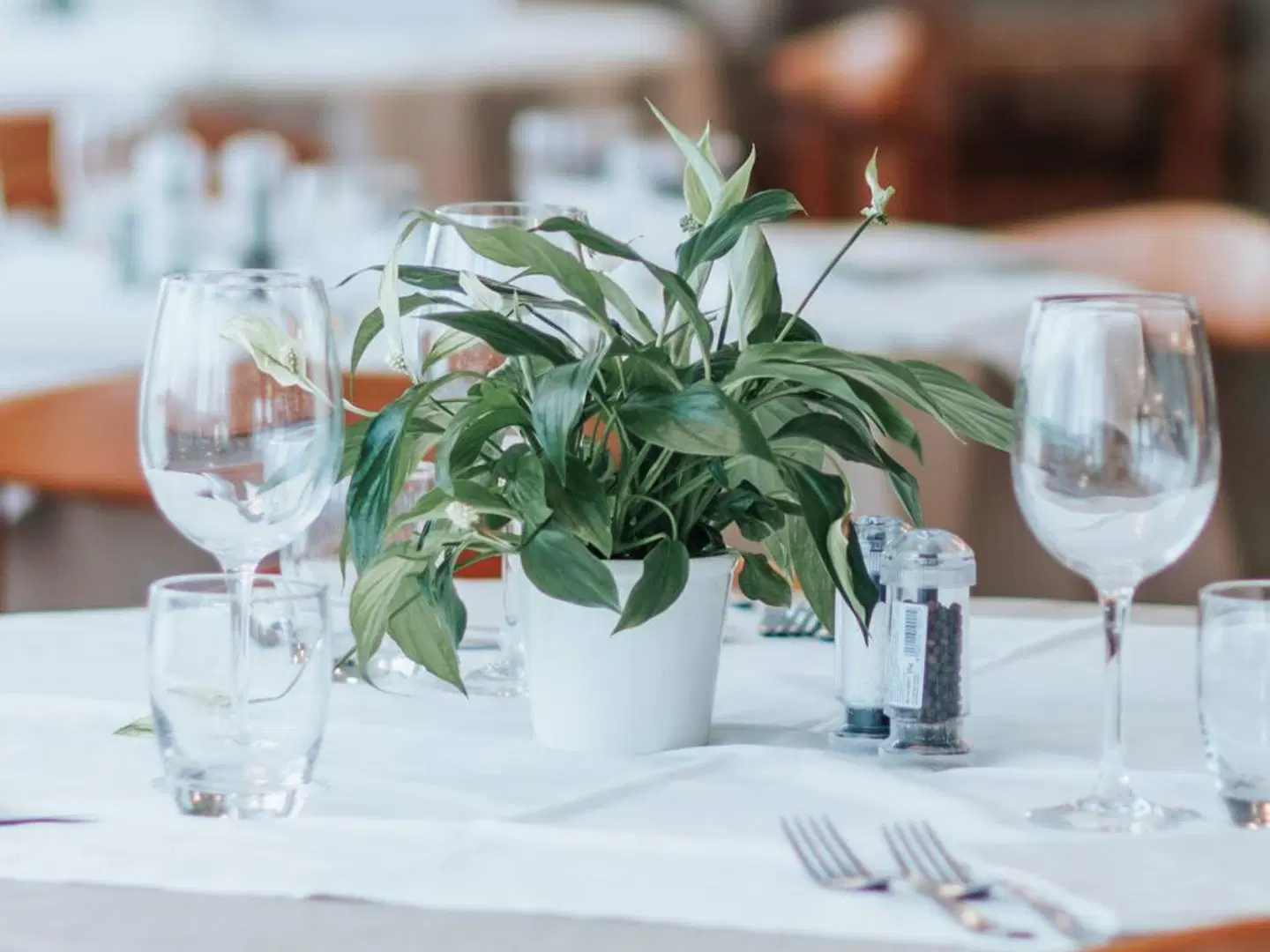 Argentina Restaurant