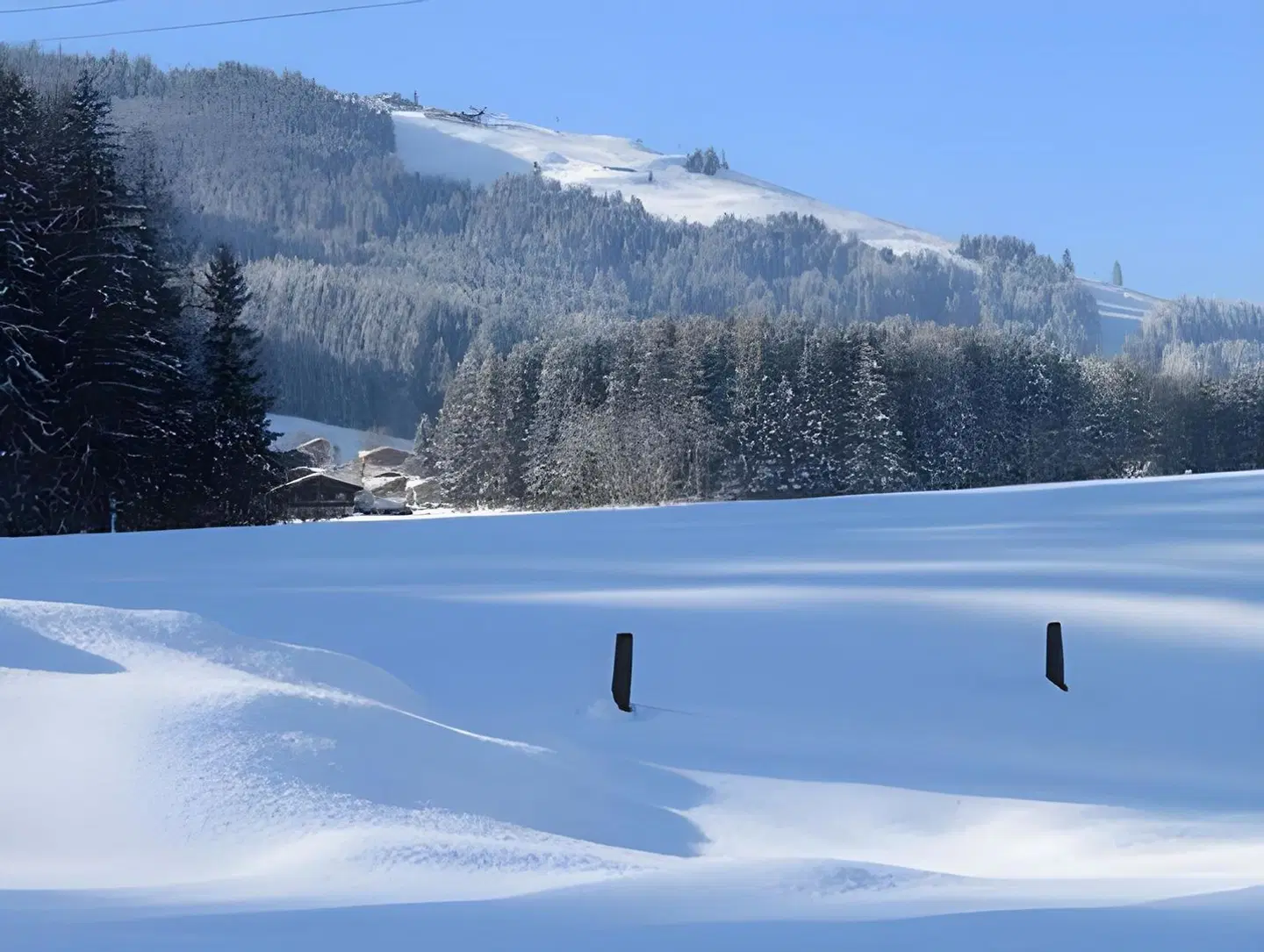 Pension Schwaiger LANDSCAPE