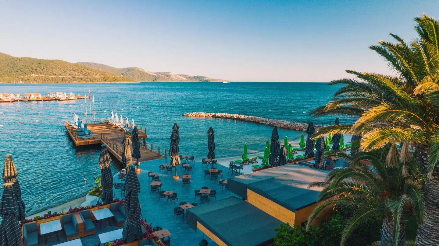 The Norm Collection Strand