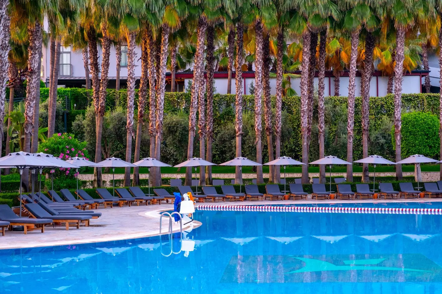 Miramare Queen Hotel OUTDOOR_POOL