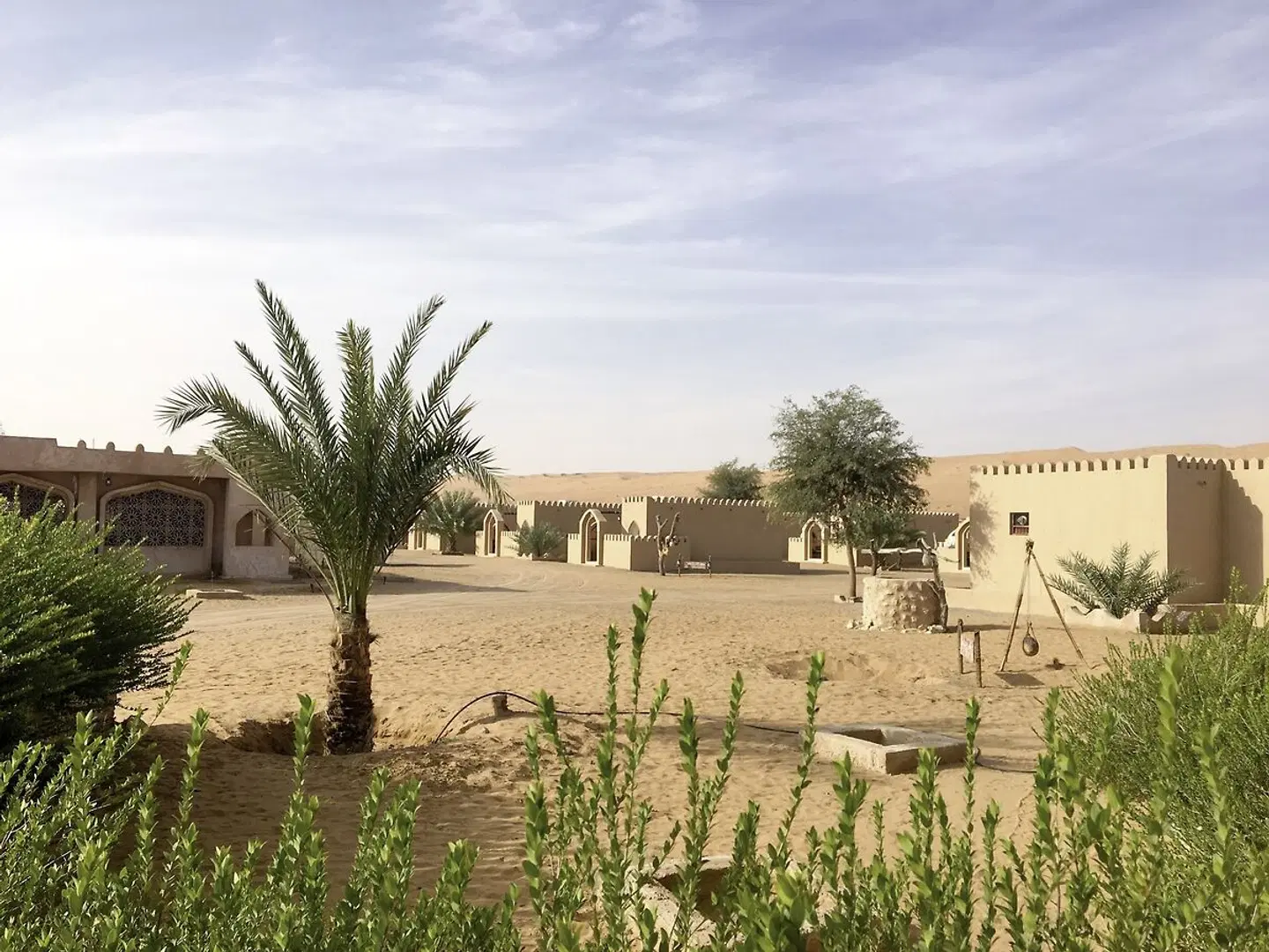 Arabian Oryx Camp Tiere
