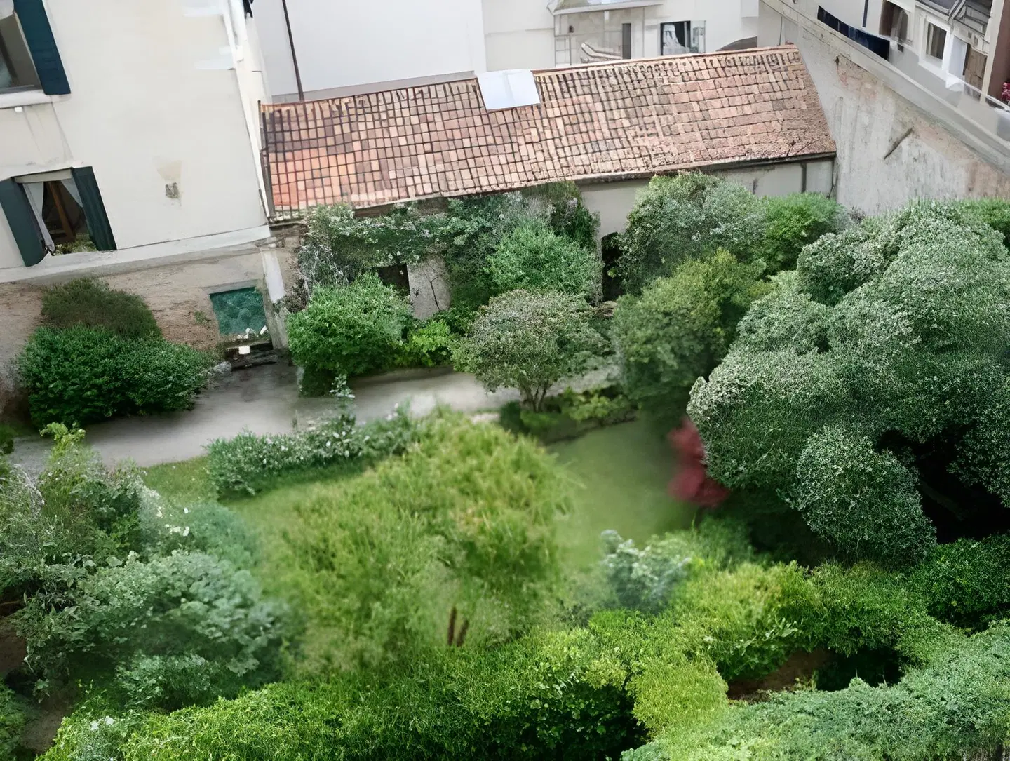 Palazzo Giovanelli & Gran Canal EXTERIOR