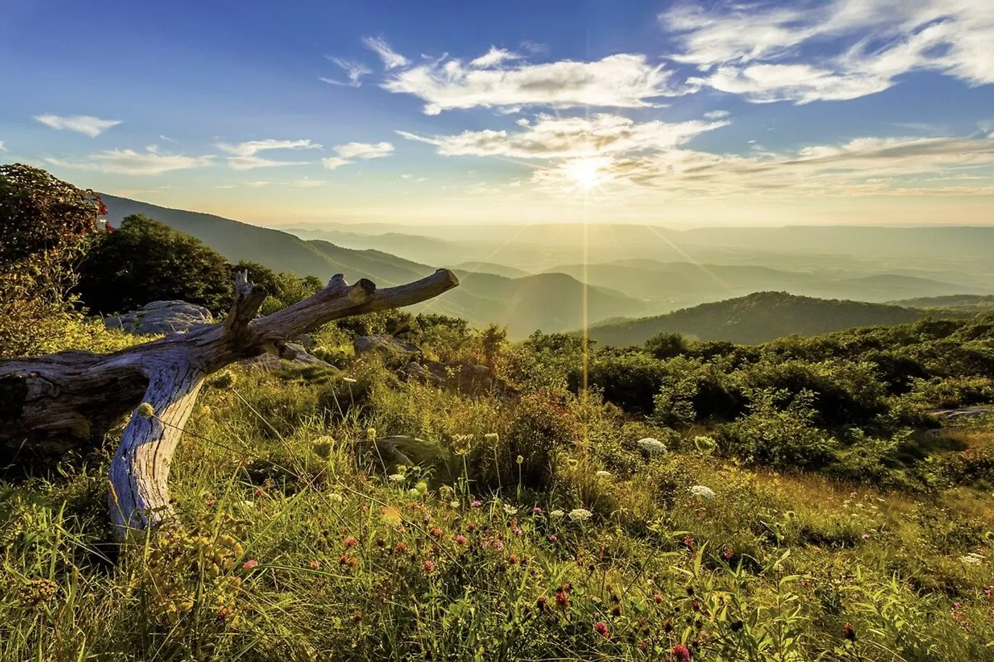 Skyland Resort LANDSCAPE