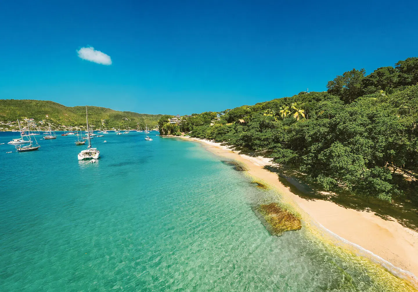 Bequia Beach Hotel LANDSCAPE