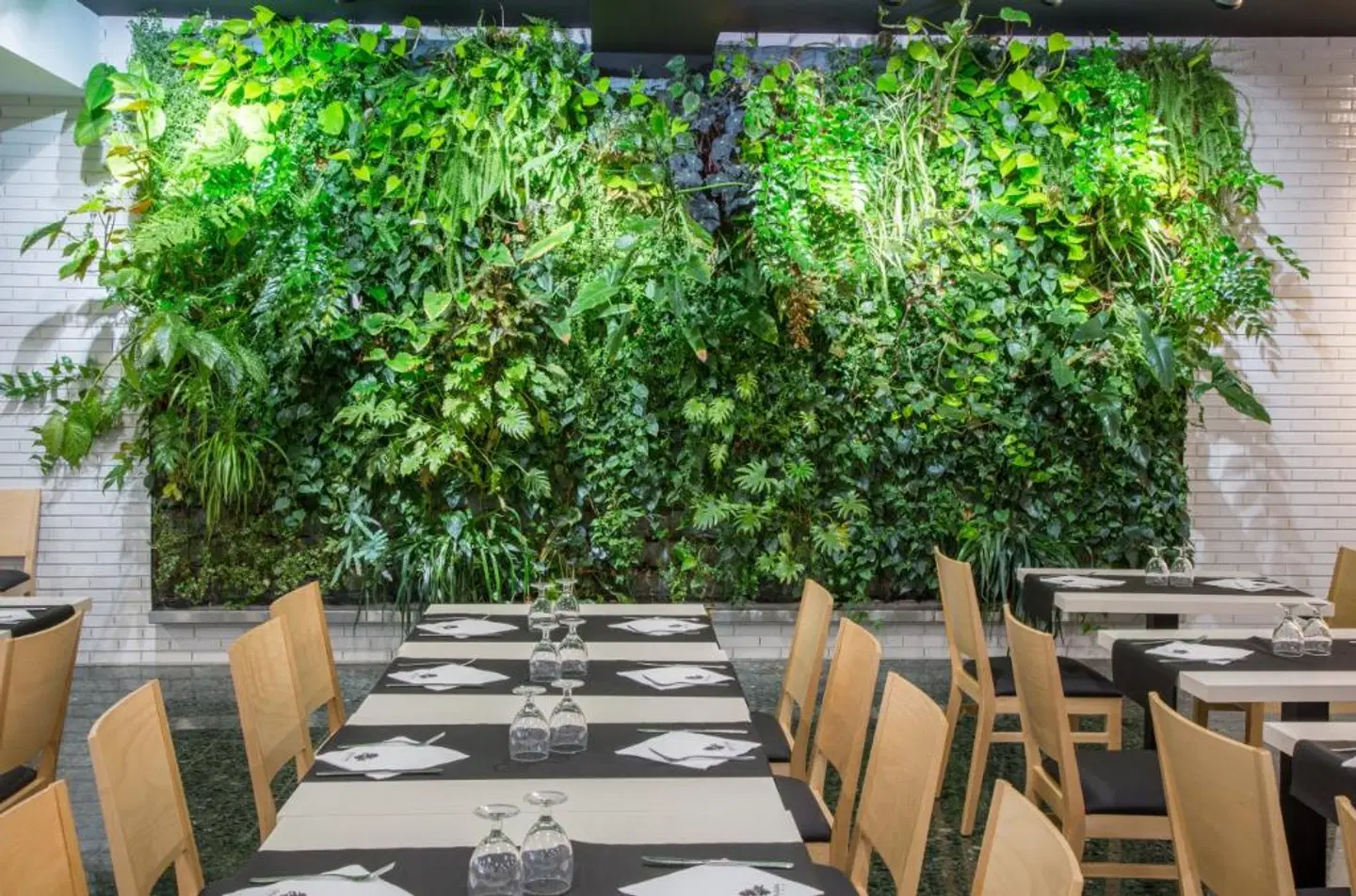 ONA Don Juan Terrasse