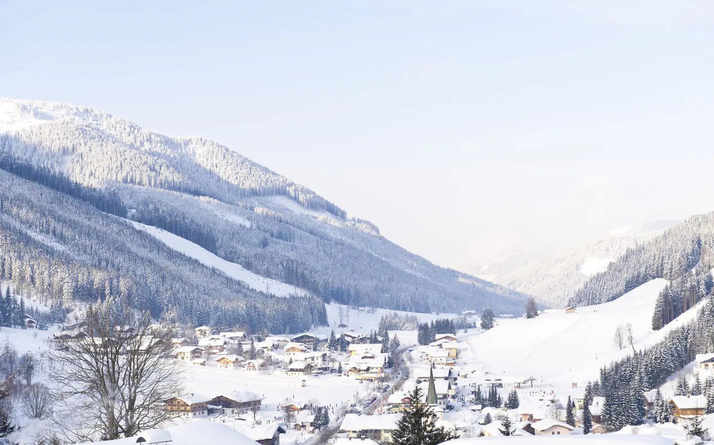 Hotel Alpenkrone LANDSCAPE