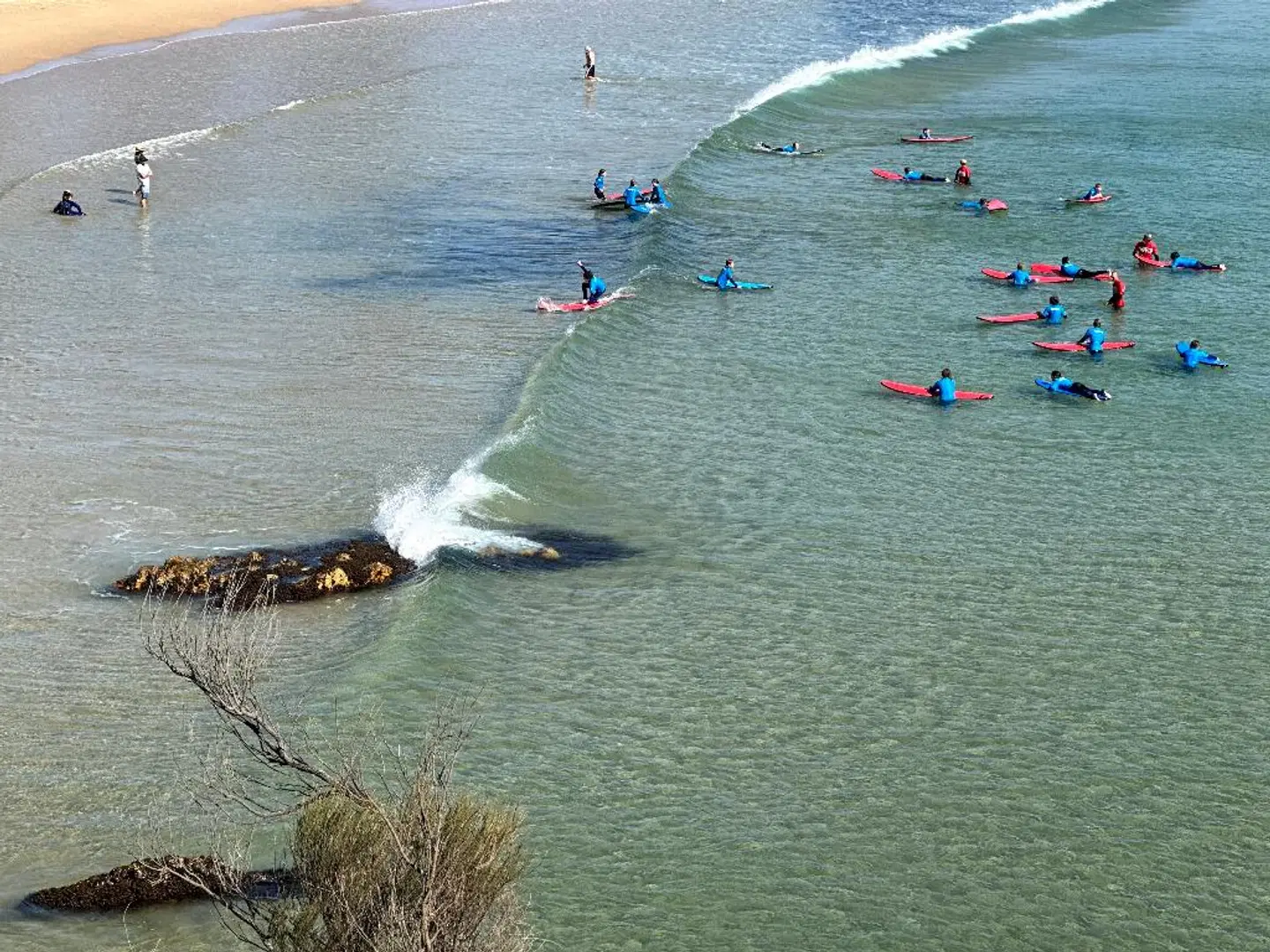 Tathra Beach House Holiday Apartments Strand