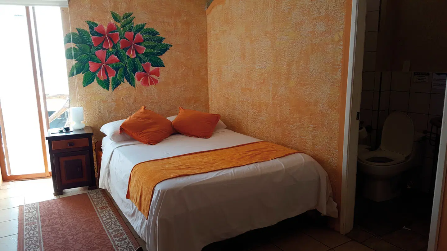 Flamingo ROOM_EXAMPLE