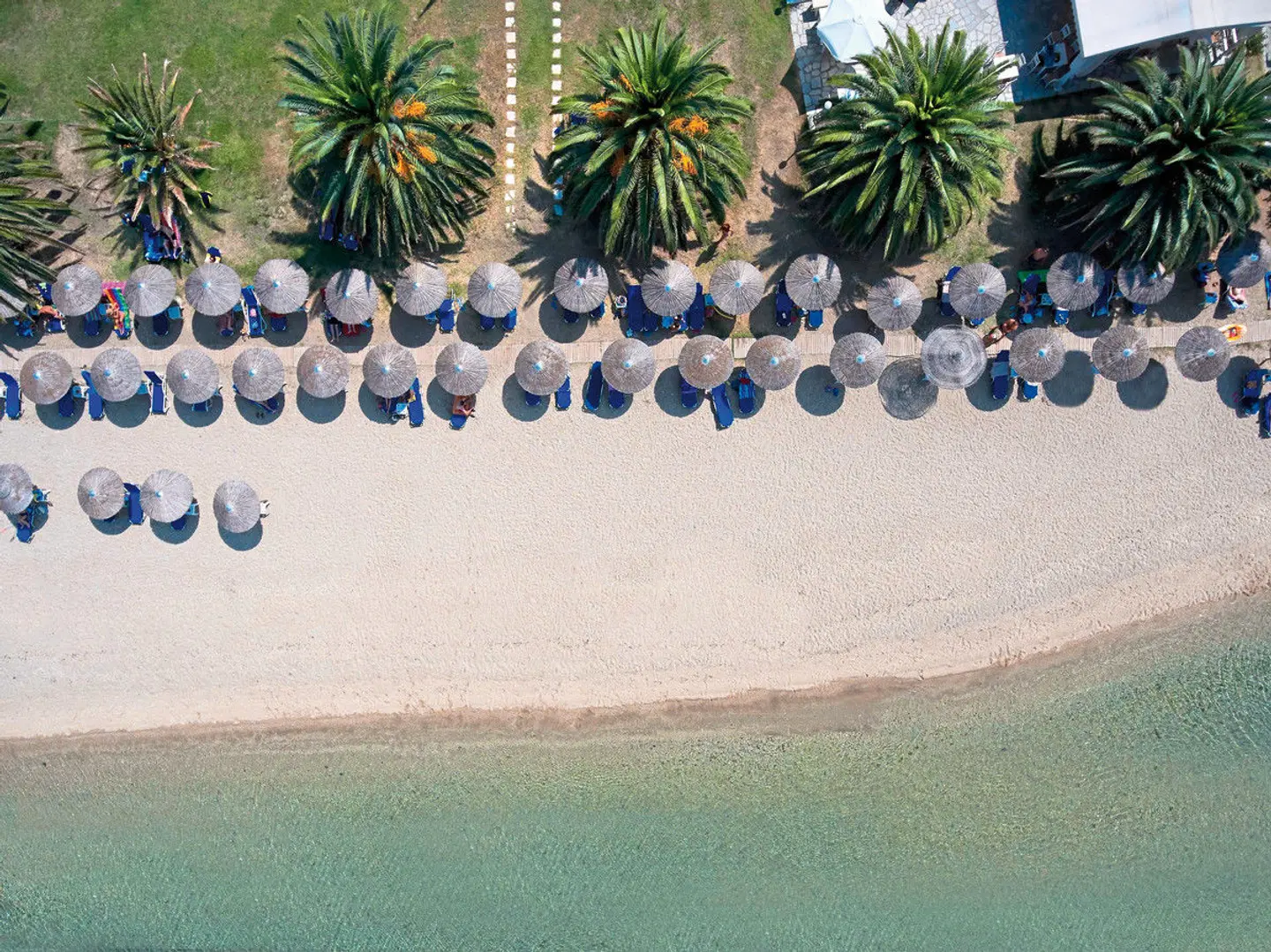 Acrotel Lily Ann Boutique Tiere