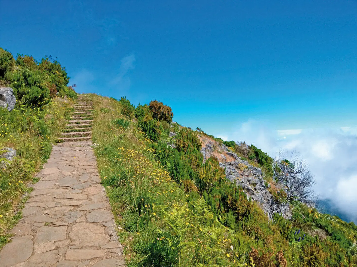 Rund um Madeira LANDSCAPE