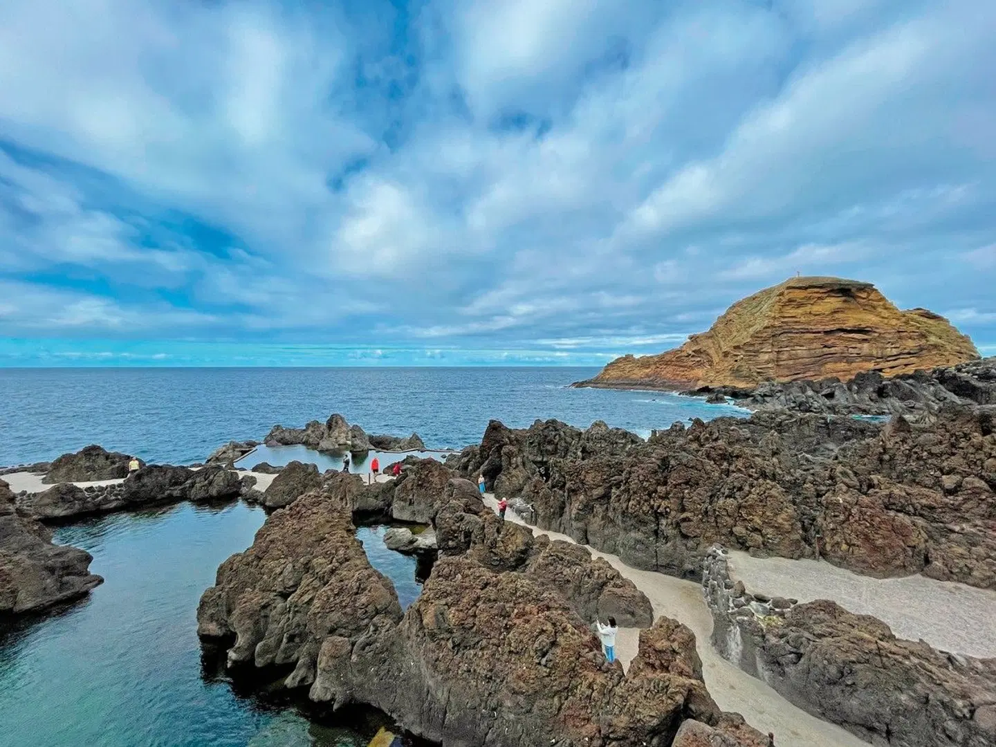 Rund um Madeira Tiere