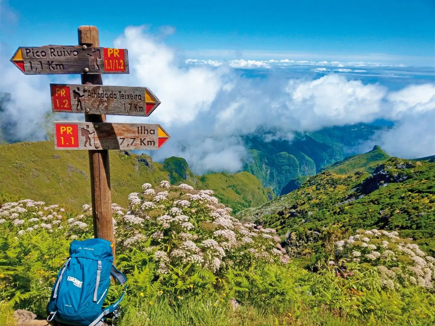 Rund um Madeira LANDSCAPE