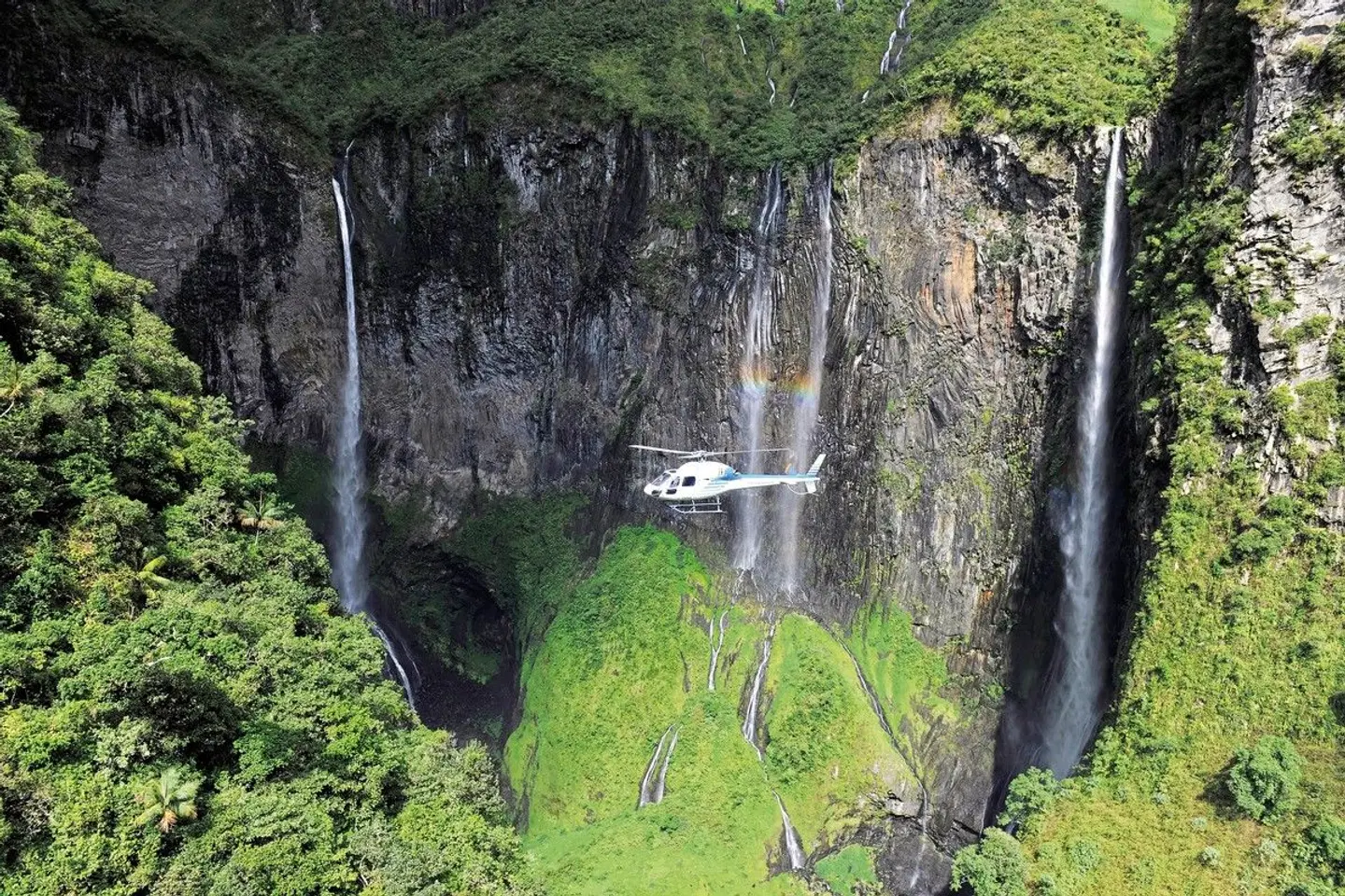 La Réunion - Inselparadies für alle Sinne Garten