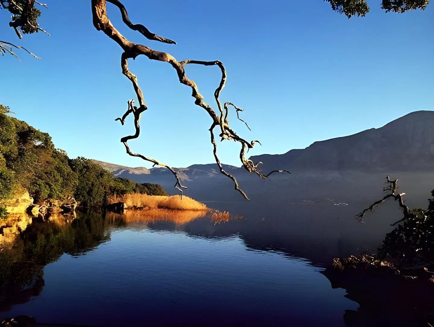 Mosaic Lagoon Lodge LANDSCAPE